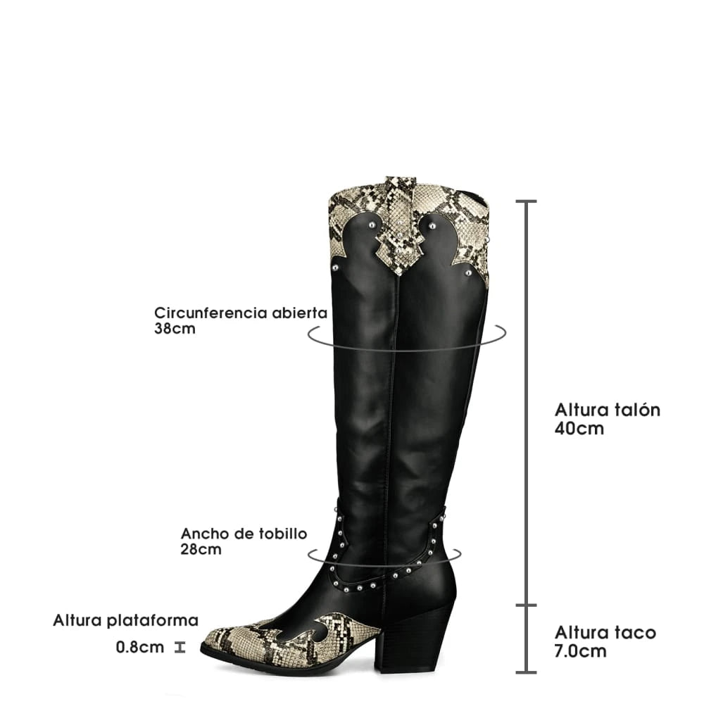 Botas Taco Mujer Weide MXHX522